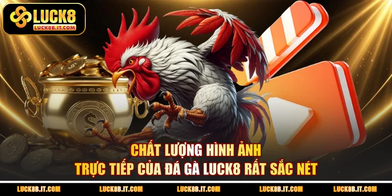 Chất lượng hình ảnh trực tiếp của đá gà LUCK8 rất sắc nét