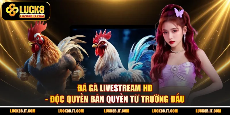 Đá Gà Livestream HD - Độc Quyền Bản Quyền Từ Trường Đấu