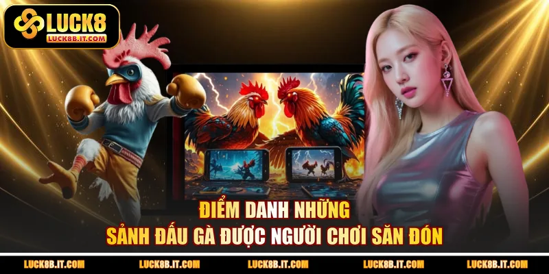 Điểm danh những sảnh đấu gà được người chơi săn đón 
