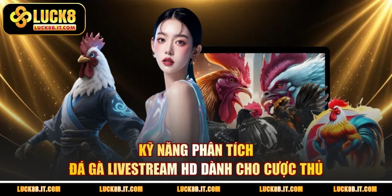 Kỹ năng phân tích đá gà livestream HD dành cho cược thủ 