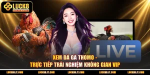 Xem Đá Gà Thomo - Trực Tiếp Trải Nghiệm Không Gian VIP